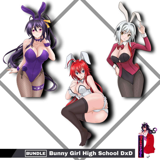Bunny Girl High School DxD Bundle