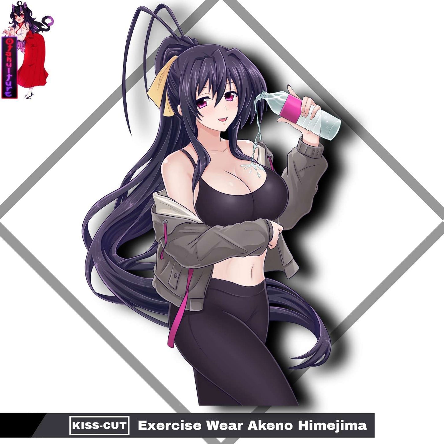 Exercise Wear Akeno Himejima