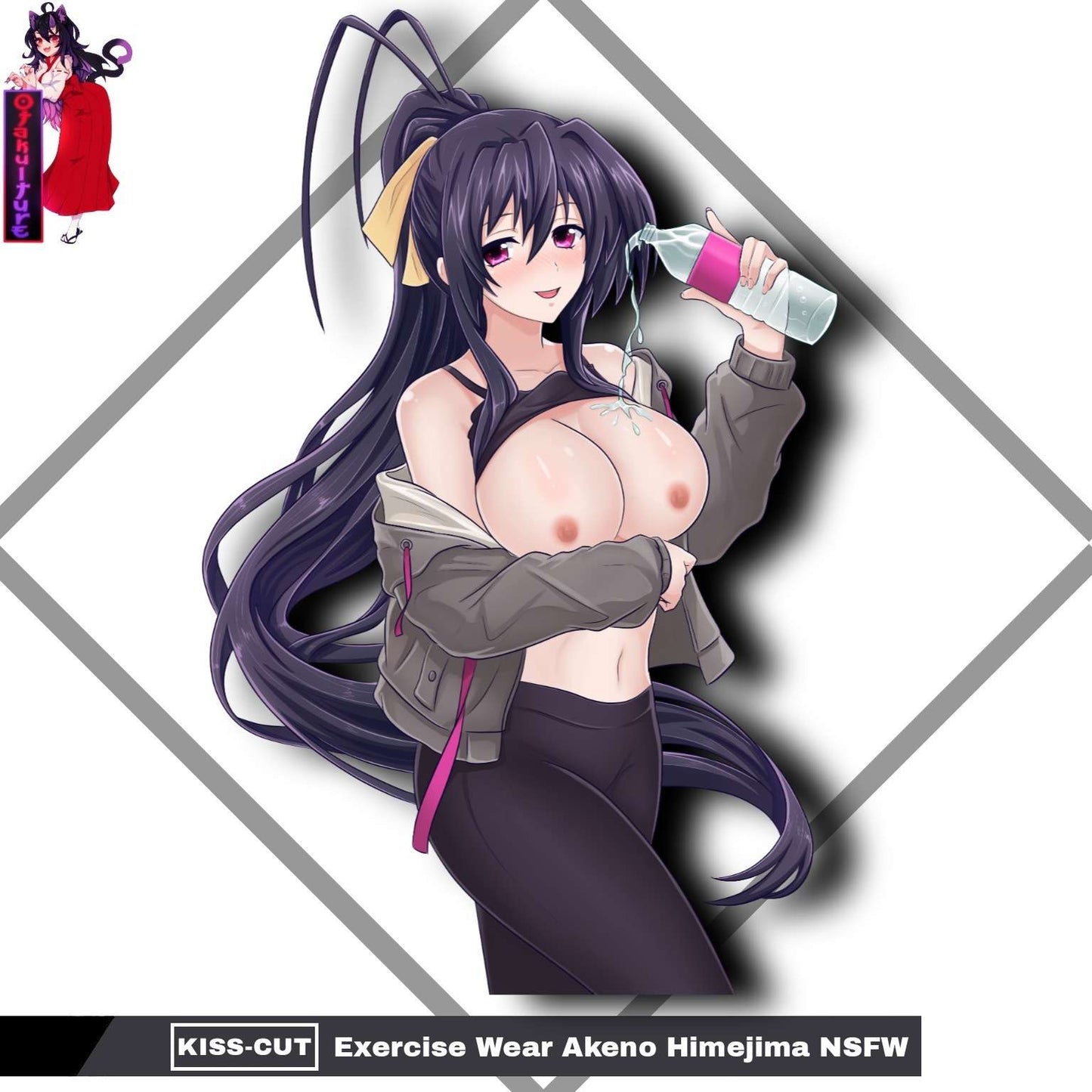 Exercise Wear Akeno Himejima