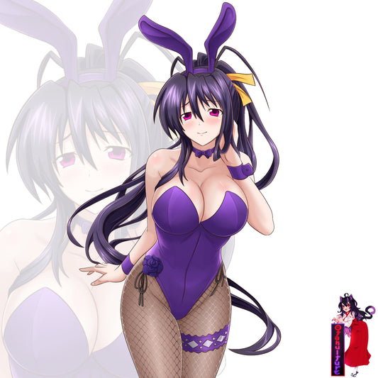 Bunny Girl Akeno Himejima (HOLOGRAPHIC)