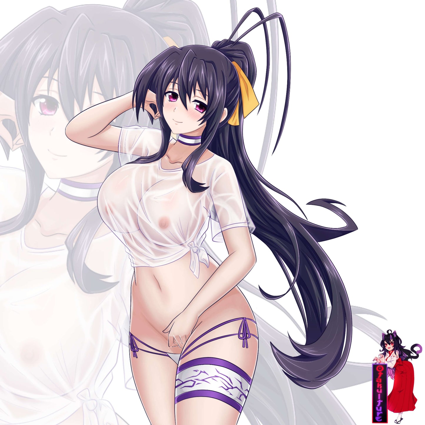 Swimsuit Akeno Himejima