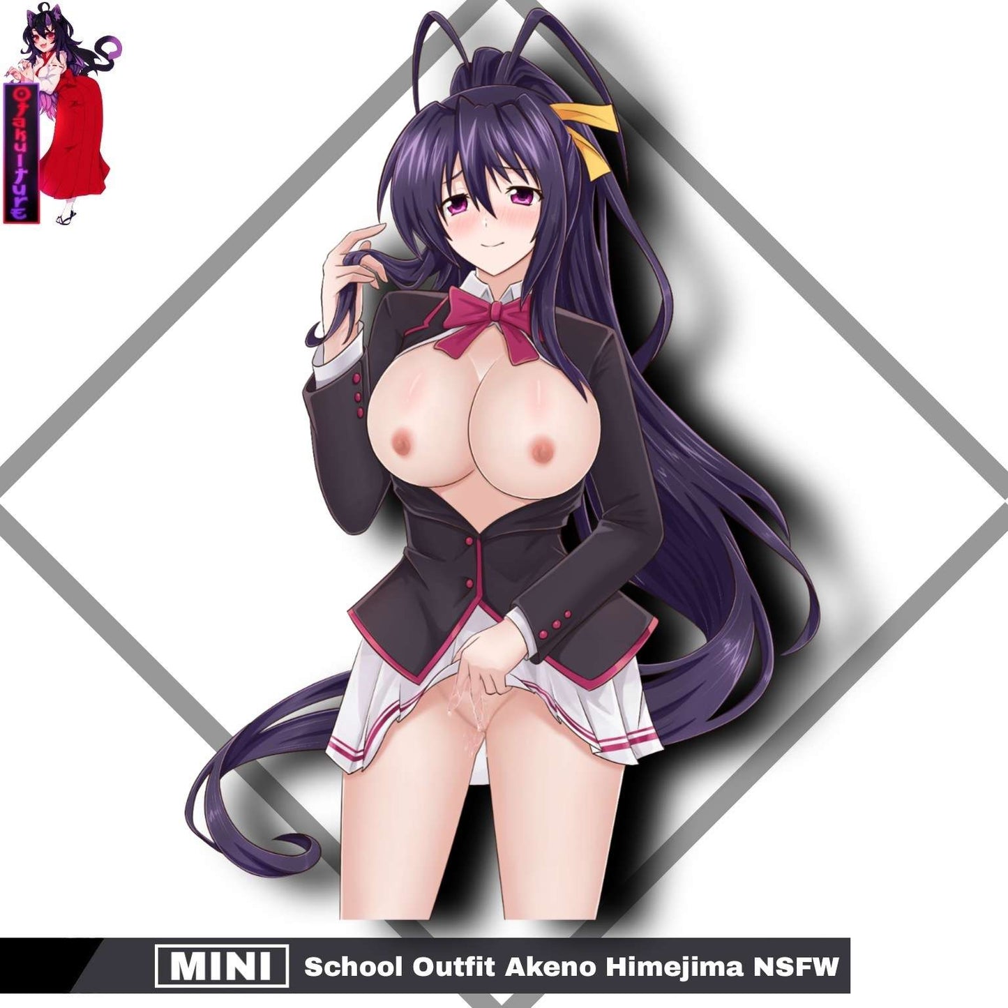 Mini School Outfit Akeno Himejima