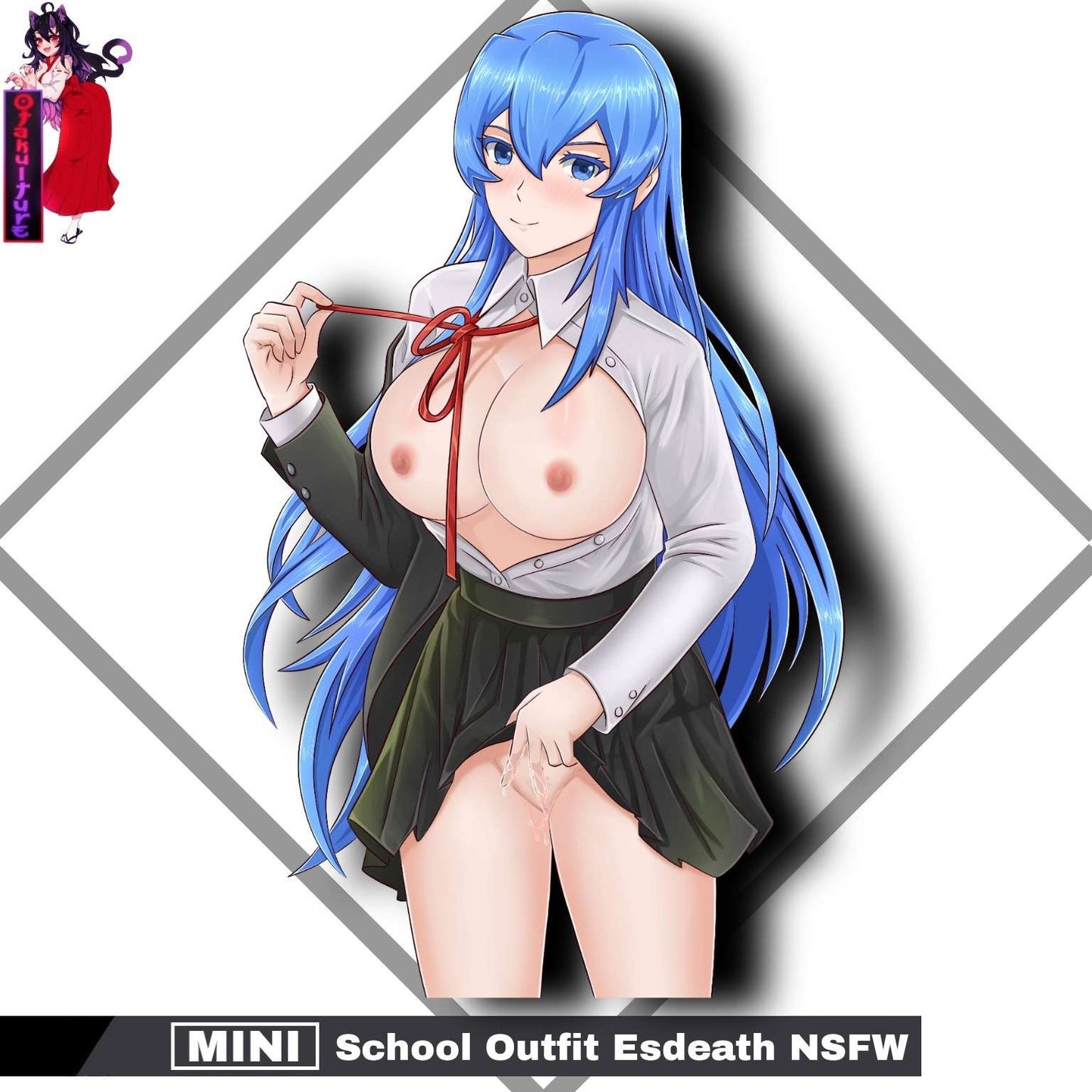 Mini School Outfit Esdeath